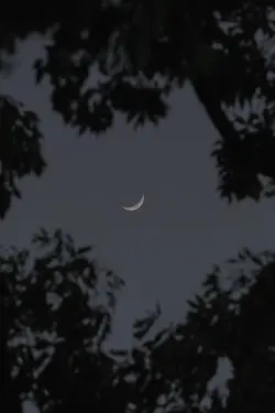 moon