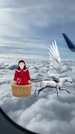 Naik Pegasus