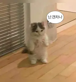 반모방 2차결과 이따나와요 