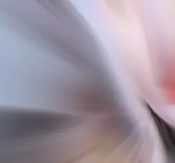 1 nắng 2 sương 