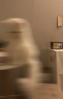 슈루님 3차!