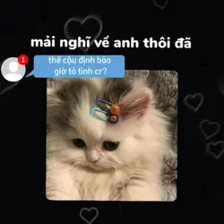 giờ mình nên nói><?