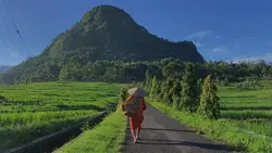 Aesthetic Slowmo