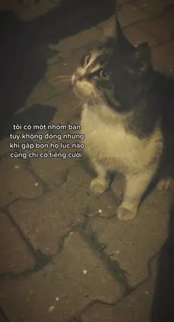 share video 
