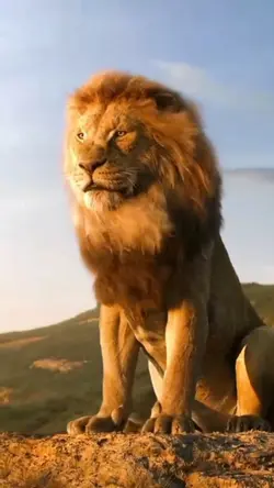 RAUNGAN SINGA