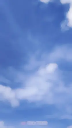 rides