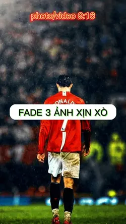SHOW 3 ẢNH