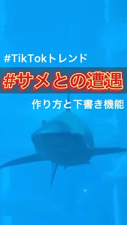 トレンド#サメとの遭遇
