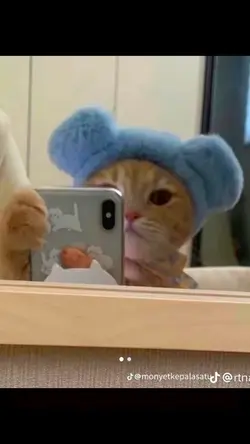 Versi mirror