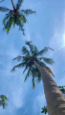 Vlog 1 menit