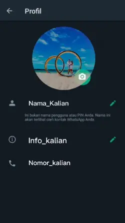1 video Porfil W.a