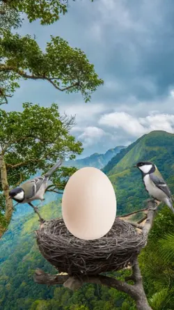Telur Burung
