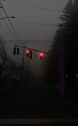 music video 