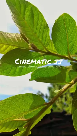 Cinematic jj