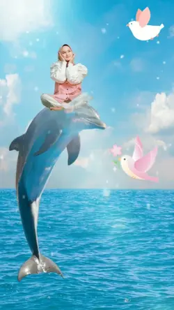 Naek dolphin