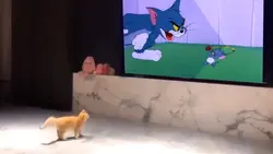 Sound Meme
