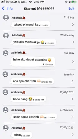 Starred Messagess