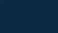ppt