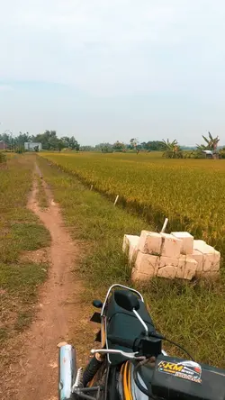 Materi Promosi