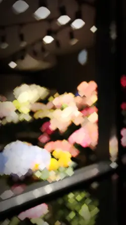 2 ảnh