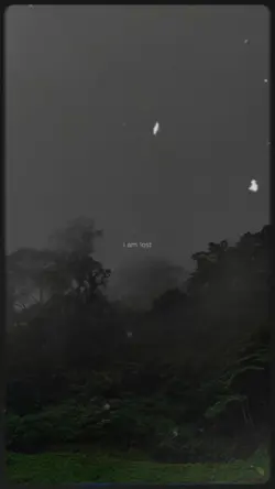 Sad Vibes i'm Lost