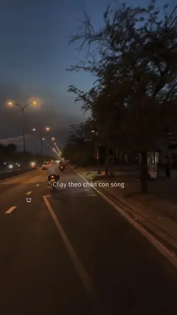 Mẫu 1 video hoặc ảnh