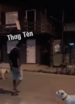 Troll siêu hài hước