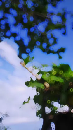 Cinematic Aw aw