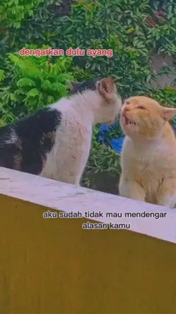kisah cinta gemoy