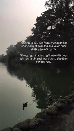 ảnh lấy video