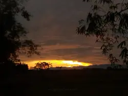 sunset