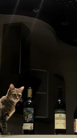 Mẫu này vip quá