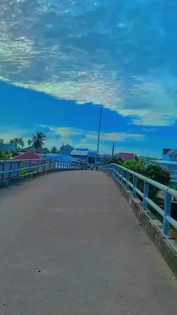 1 ảnh 