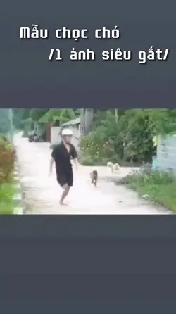 Mẫu chọc chó