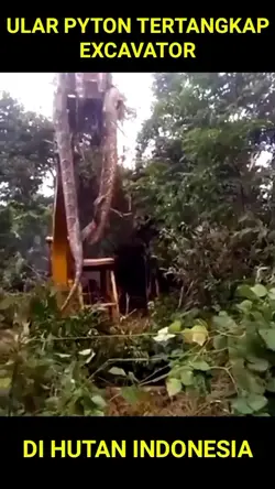 musik seram 