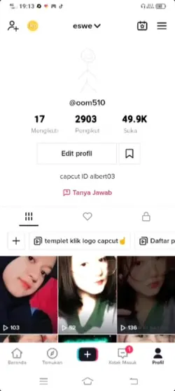 Follower tiktok