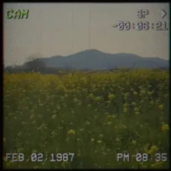 retro cam