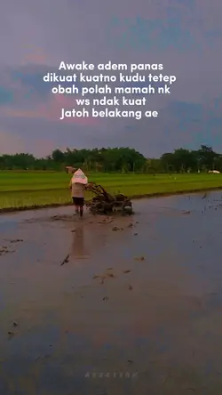 Jatoh Belakang