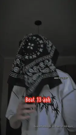 13 ảnh chiến
