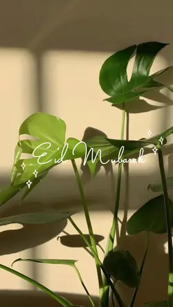 Selamat Eid Mubarak