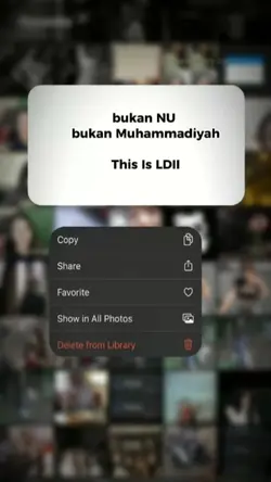 JJ NO MIRROR TIPIS 