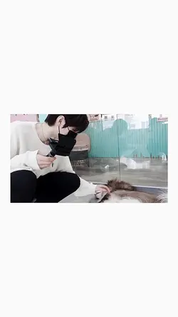 ILYSB