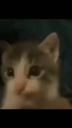 chụt :3