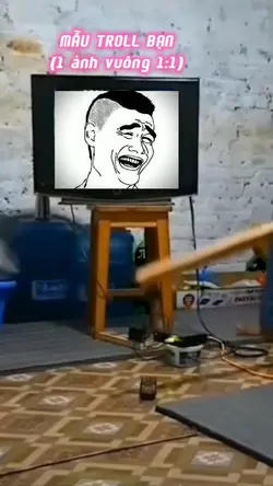 Mẫu troll bạn