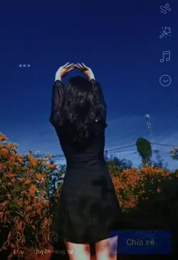 mẫu story 