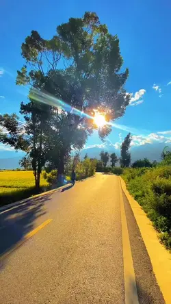 1 video + 3 foto