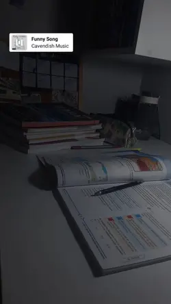 Funny Song