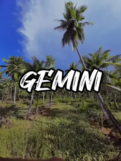 Gemini