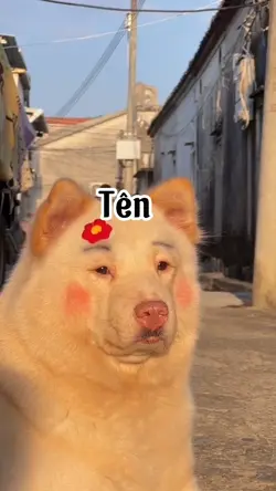 MẪU THAY TÊN 