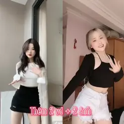 Mẫu 2vd+2ảnh
